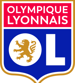 里昂队旗
