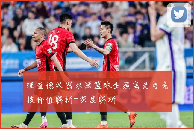 理查德汉密尔顿篮球生涯高光与竞技价值解析-深度解析
