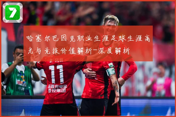 哈塞尔巴因克职业生涯足球生涯高光与竞技价值解析-深度解析