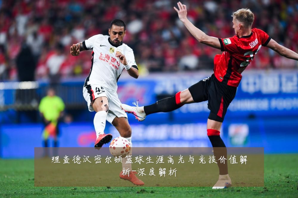 理查德汉密尔顿篮球生涯高光与竞技价值解析-深度解析