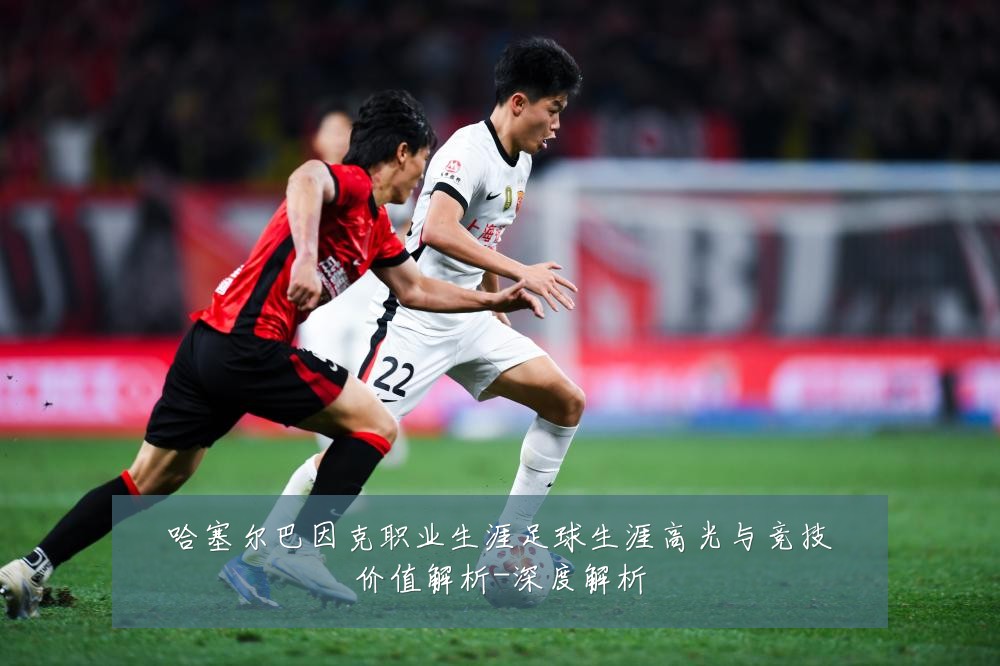 哈塞尔巴因克职业生涯足球生涯高光与竞技价值解析-深度解析