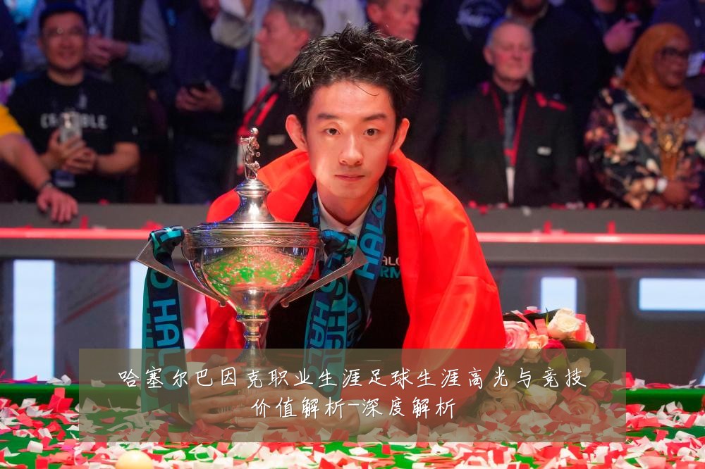 哈塞尔巴因克职业生涯足球生涯高光与竞技价值解析-深度解析